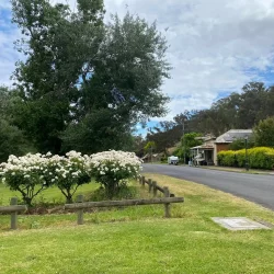 View South to Kolmar House